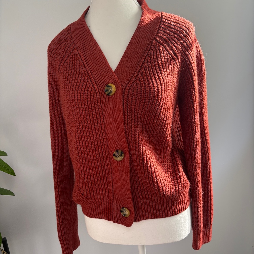 Francesca’s Rust Cardigan Sweater